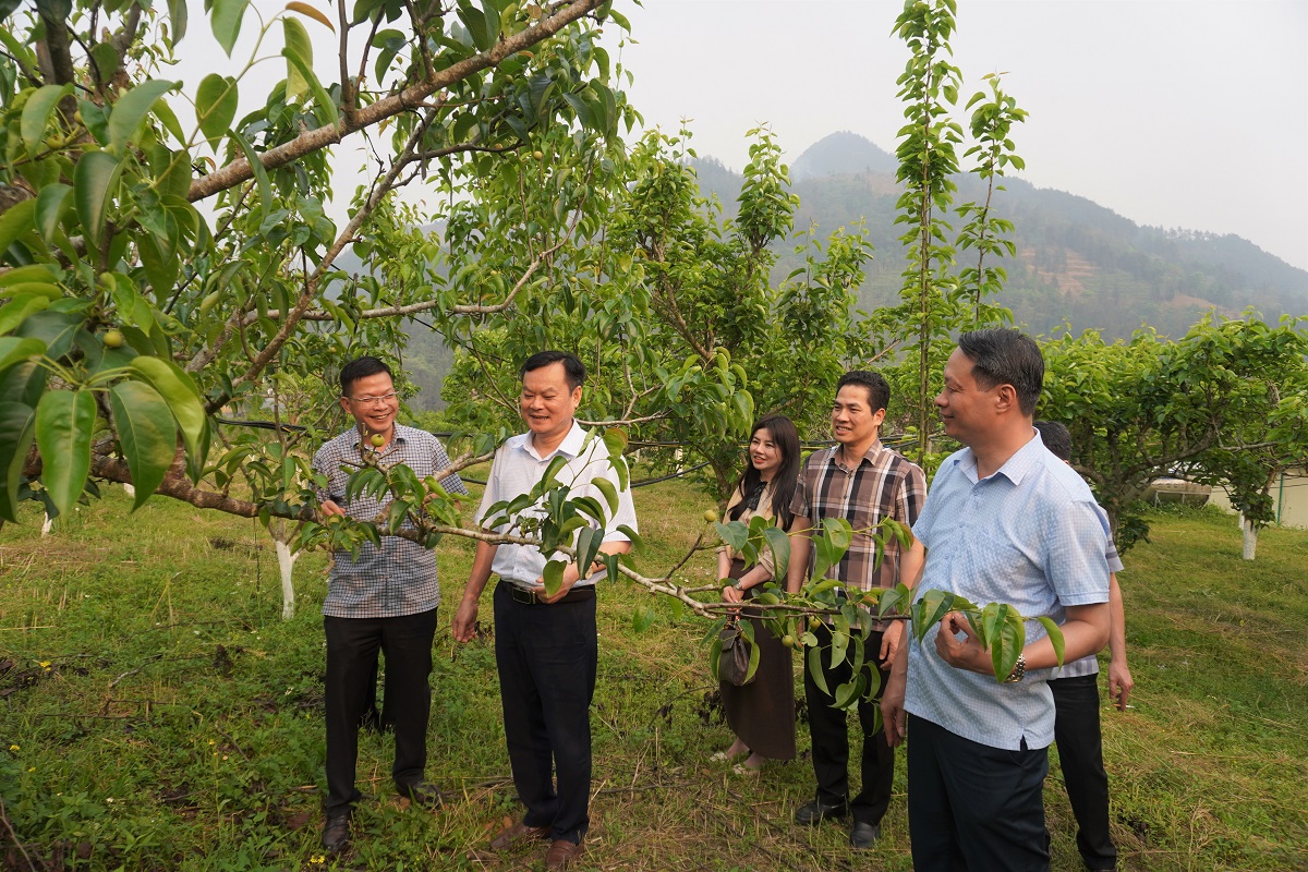 TRUNG TÂM KHOA HỌC, CÔNG NGHỆ VÀ ĐỔI MỚI SÁNG TẠO TỈNH LÀO CAI THĂM VÀ LÀM VIỆC VỚI TRUNG TÂM  GIỐNG NÔNG NGHIỆP TỈNH LÀO CAI